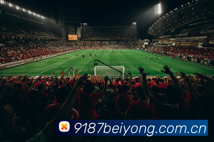 9187体育备用网址APP 封面图